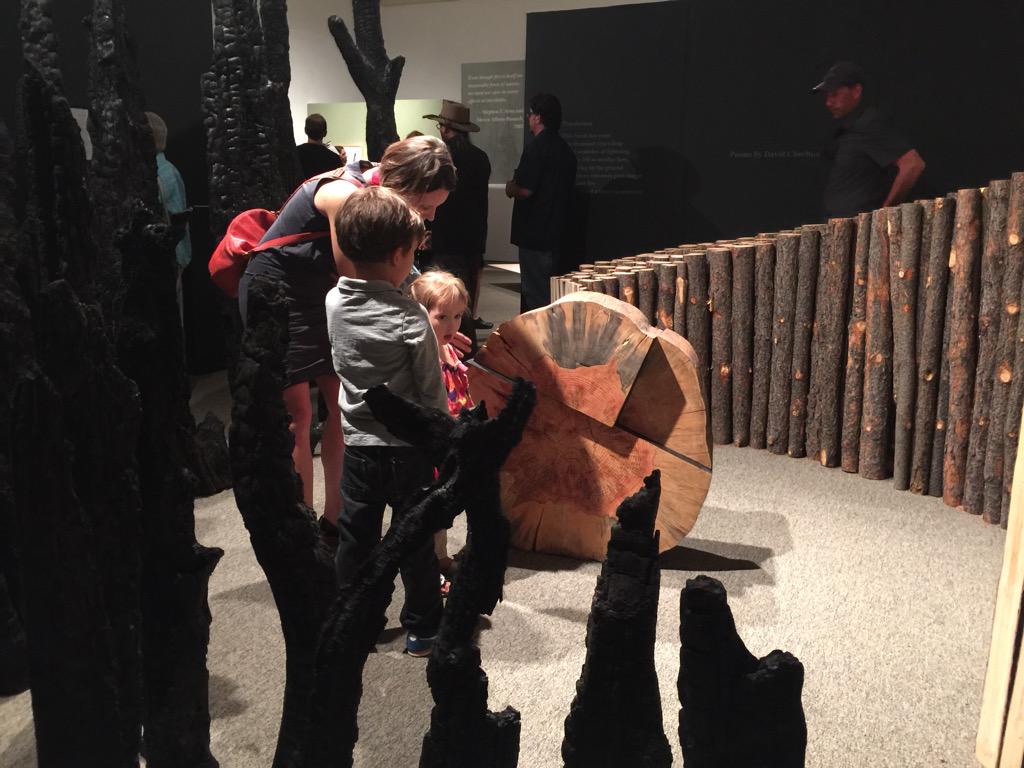 JimStLeger's tweet photo. More proof that kids love #art. These kids were taking in the #FiresOfChange exhibit at @FlagstaffArts. #SciFest http://t.co/Yy9FkIohjr