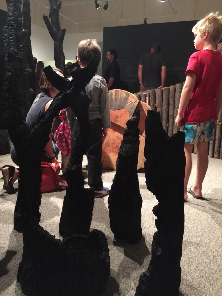 JimStLeger's tweet photo. More proof that kids love #art. These kids were taking in the #FiresOfChange exhibit at @FlagstaffArts. #SciFest http://t.co/Yy9FkIohjr