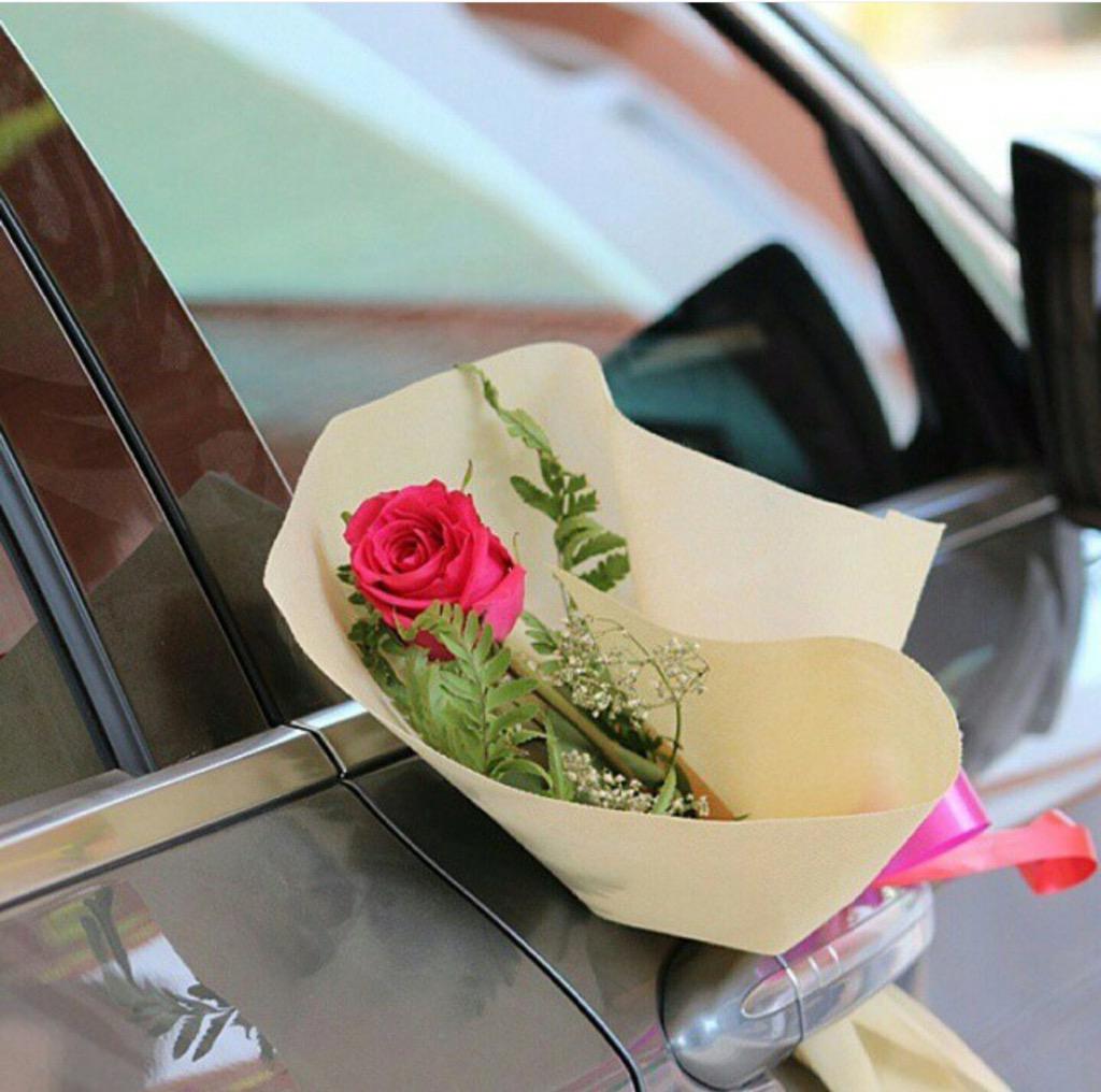 للي دياره بعيدة

تشبه الصبح في اول شروقه ؛
تشرق والكل من حولك يغيب ♡