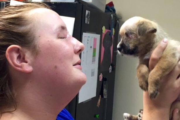 MikeSington's tweet image. Shooting victim who lost her eye adopts one-eyed puppy who no one wanted. #Survivors #DogsLife #DogsOfJoy💞