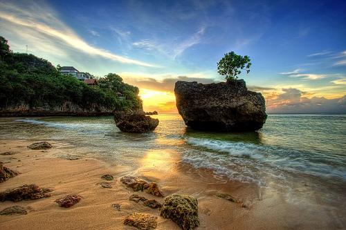 TravelingID tweet picture