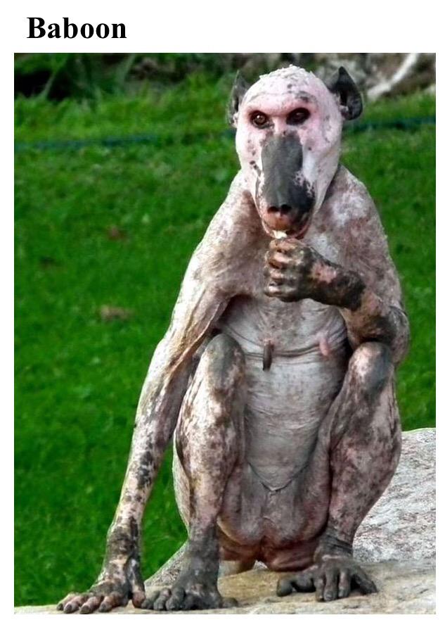 Wes_03's tweet photo. This is the scariest thing I have ever laid eyes on http://t.co/36DkNXwQXV