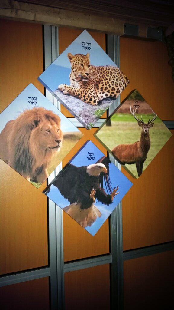 Fearless as a leopard bold as a eagle fast as a deer strong as a lion, portrayed vividly in this #sukkot #decoration
