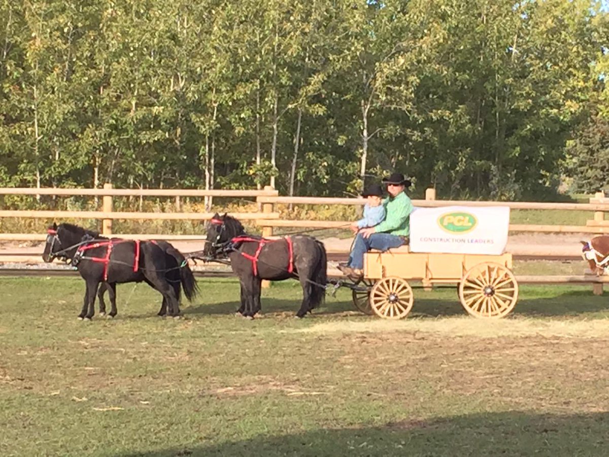 DAPassingham's tweet photo. Dave size Chuck wagon at #shindig2015 @HeritageParkYYC and @pclconstruction http://t.co/V6Is6MRJeq