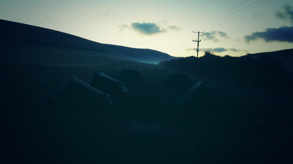 tstcdofe tweet picture