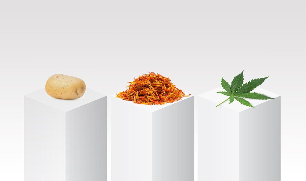 MADE IN KNOAL 3 september t/m 11 oktober Handelsstraat 58 Stadskanaal
facebook.com/events/1654712… #250400 #CBKGroningen