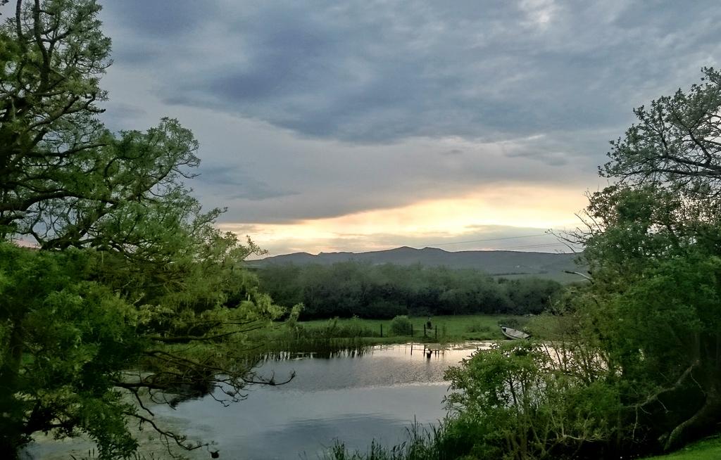 DiBrown5's tweet photo. Good morning #CapeTown  from DeUijlenes in the #Overberg day 2 #FunkyFynbosFestival http://t.co/ziqM0PGt0L