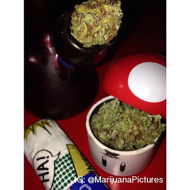 marijuana_feed's tweet photo. http://t.co/AlRk0Yd4U0