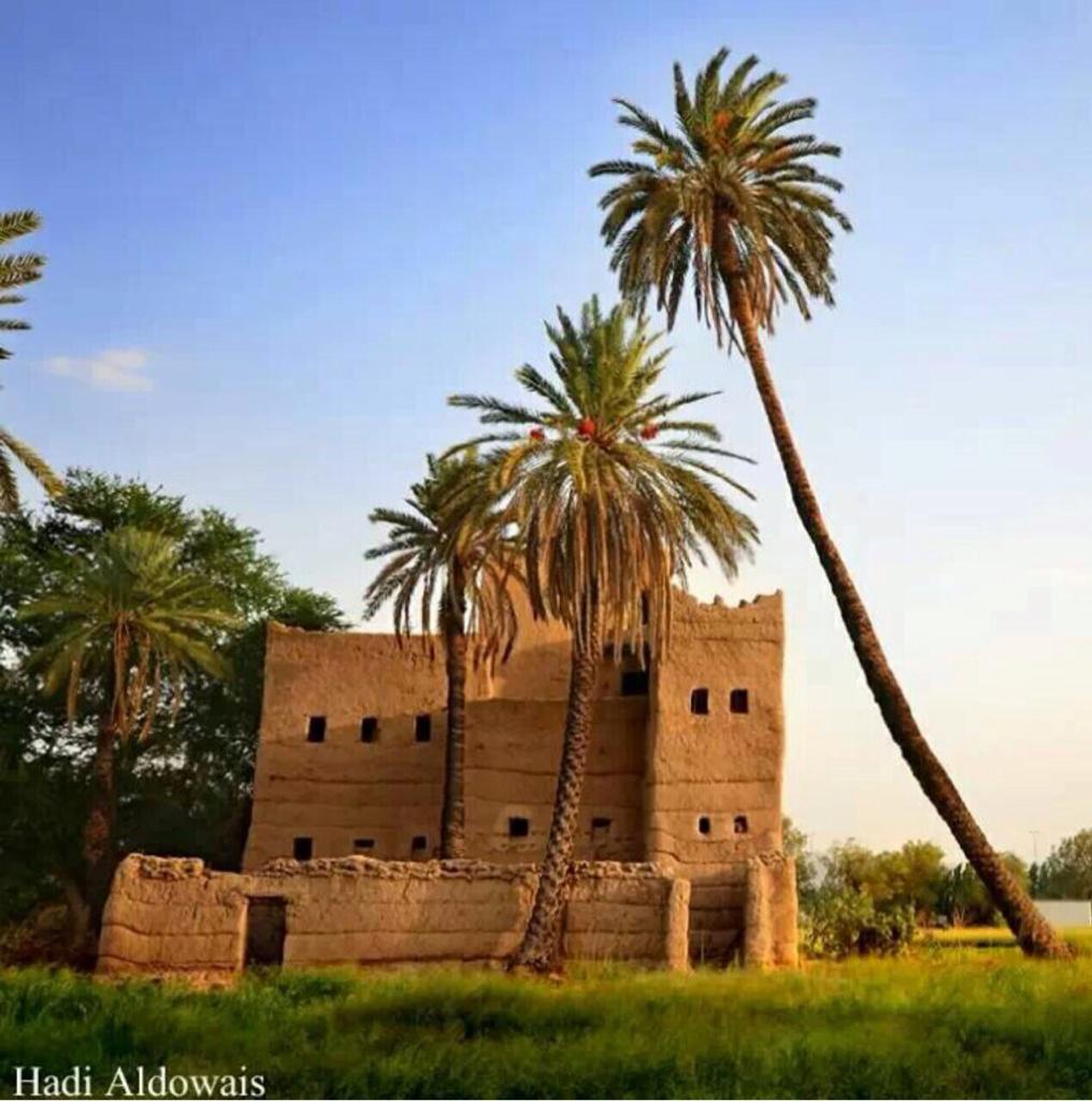 M123Smm's tweet photo. صباح الخير يانجران✨✨✨✨✨
 صباح شموخ نخلة نجران الشامخه
صباح دروب نجران الاصيله المتأصلة 
صباح نسمة الوادي الساحره✨✨ http://t.co/3XzfRRz6tA