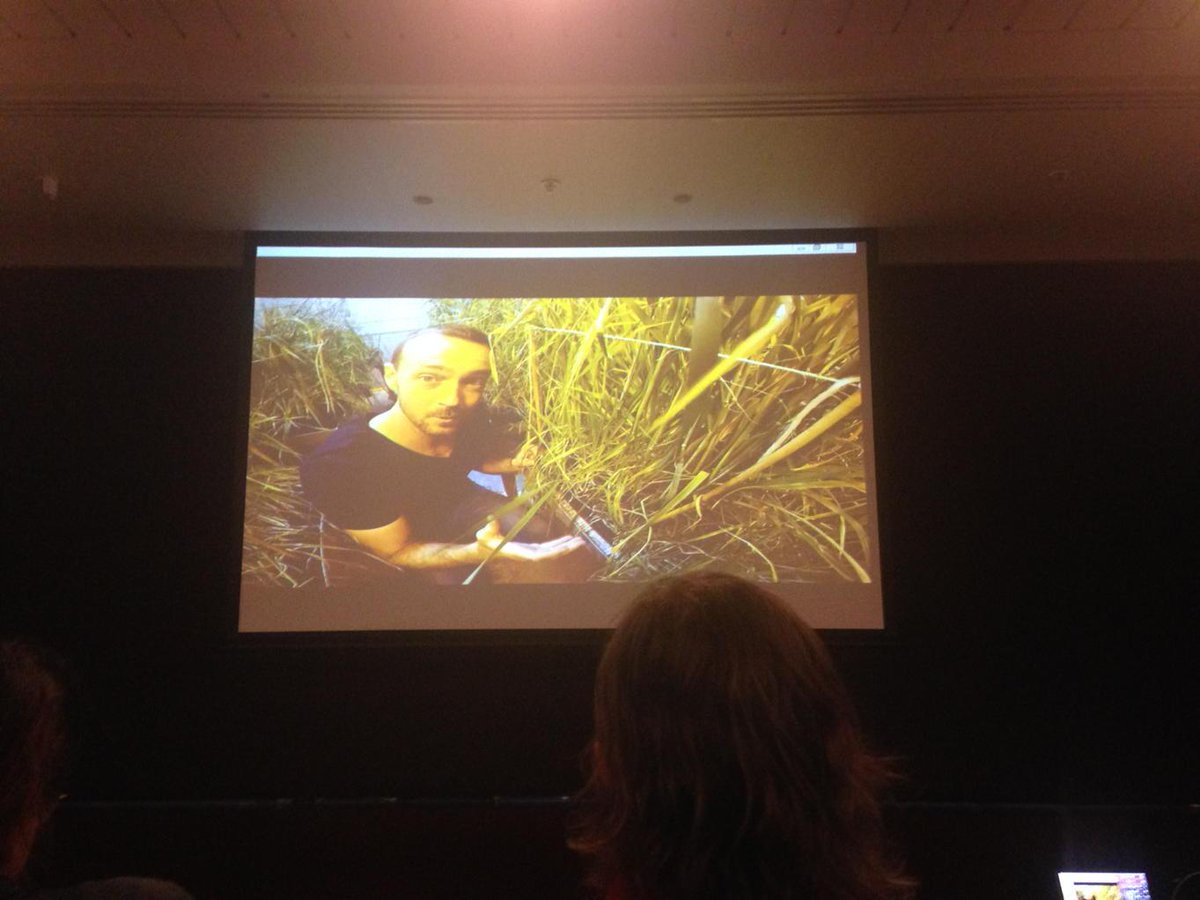 AmyWatsAg's tweet photo. Nice video Lee:) you're a natural #breedtech15 #hickeylab http://t.co/ZGqvglhhVx
