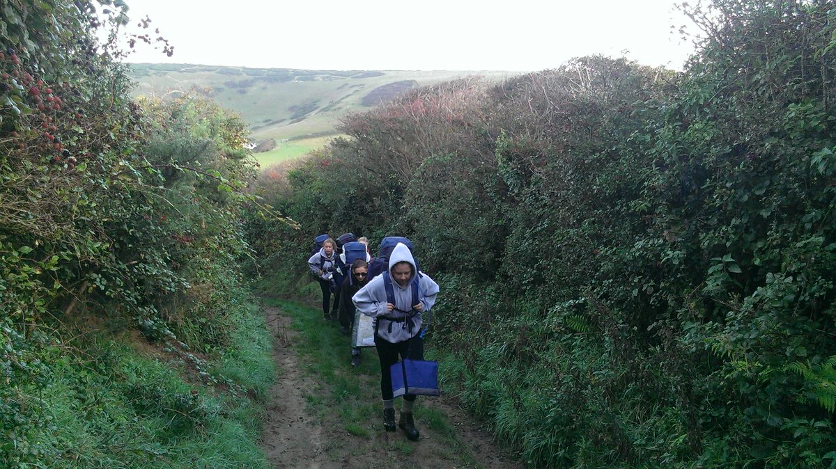 tstcdofe tweet picture