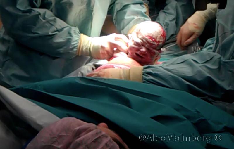 Alec Malmberg tweet media