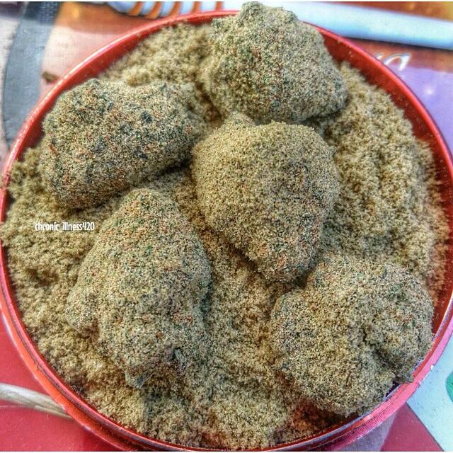 marijuana_feed's tweet photo. http://t.co/vE21irYxAC
