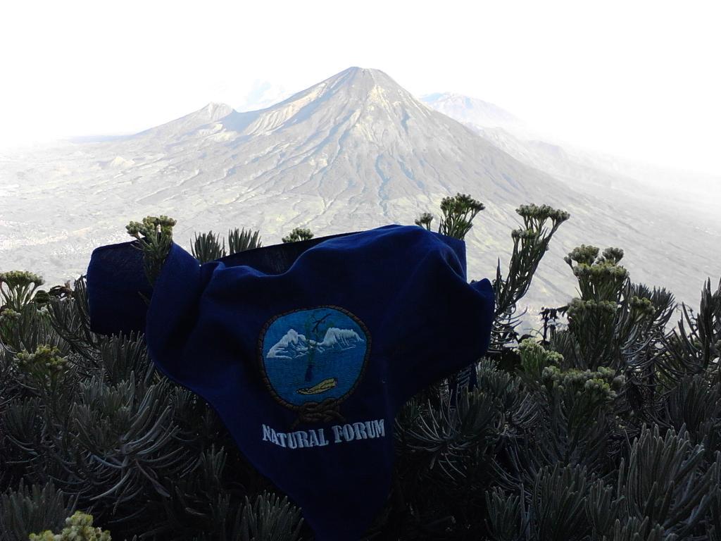 MasScoutz's tweet photo. Buat mimin @NaturalForum http://t.co/gSMozi8K94
