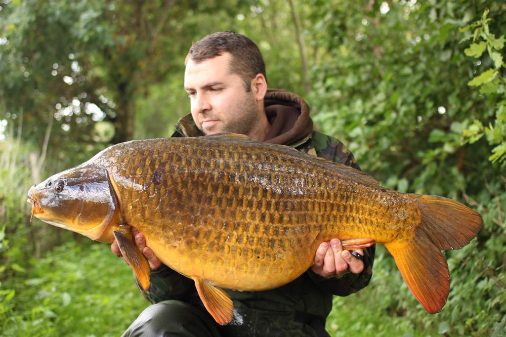 Checkout this 40lb 'Ghosty' from Scott Sullivan... Straight Points held strong for the GF carper while stalking!