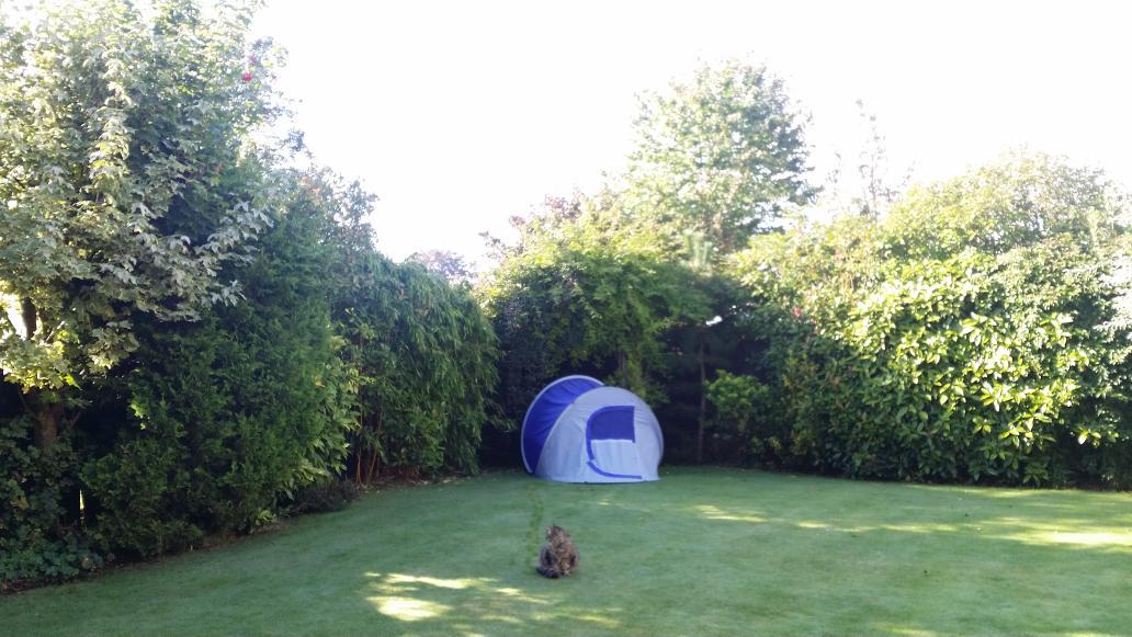 EarlCheese's tweet image. @EarlCheese #pitchingpractice😎