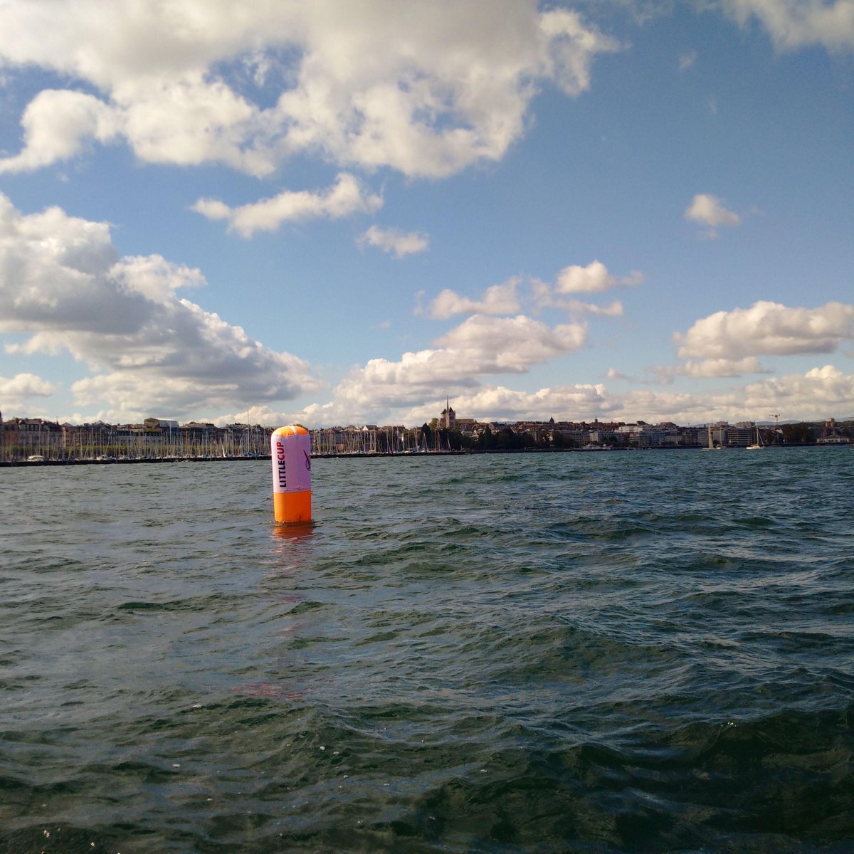 AB_Cclass's tweet image. #CclassCat #LittleCup2015 #GenevaFleetRace