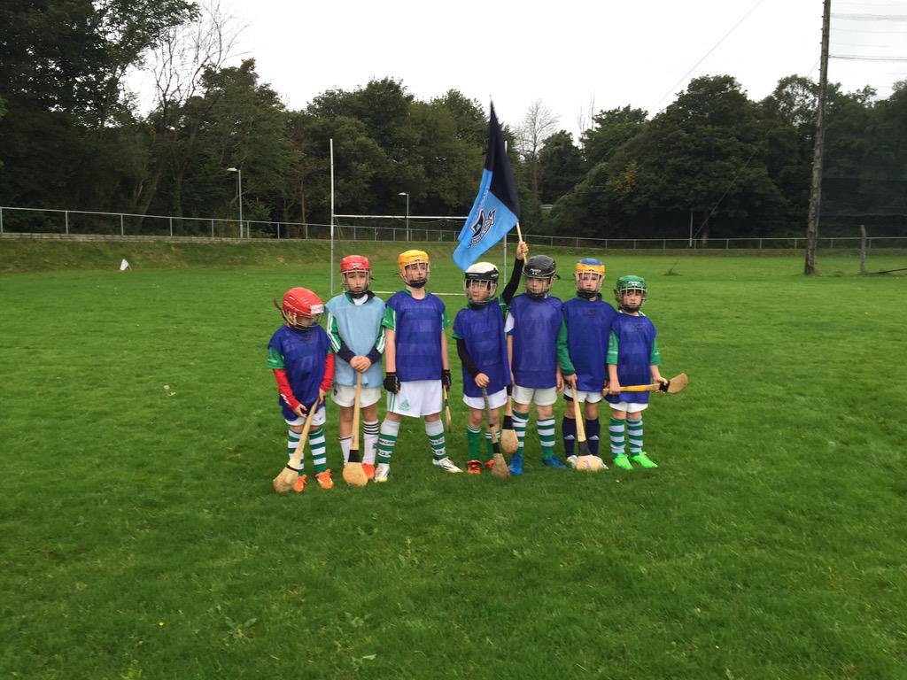 ValleyRoversGAA's tweet photo. Valleys u7/8's at the annual parish league today http://t.co/6O4nwmfo6S