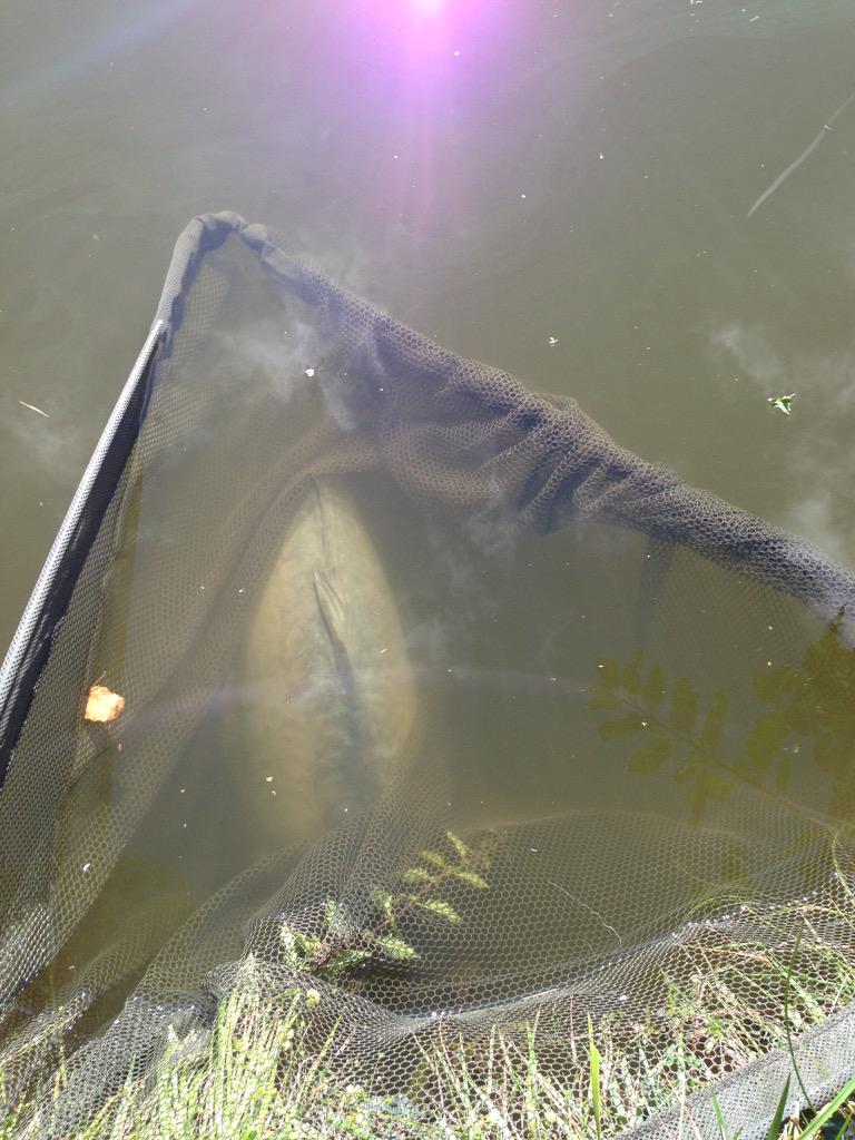 44 lb mirror off left margin. Strawberry and condensed milk popup!!! 😍😀😀😀