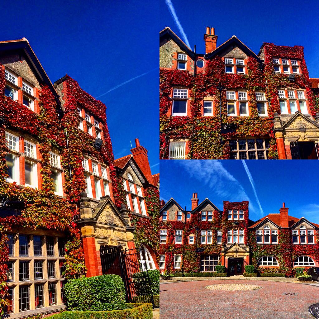 RLGCHoylake's tweet photo. Beautiful Autumn Day with the clubhouse fully on the turn #golf (c) @paulshawhoylake http://t.co/3RpftxRkQJ