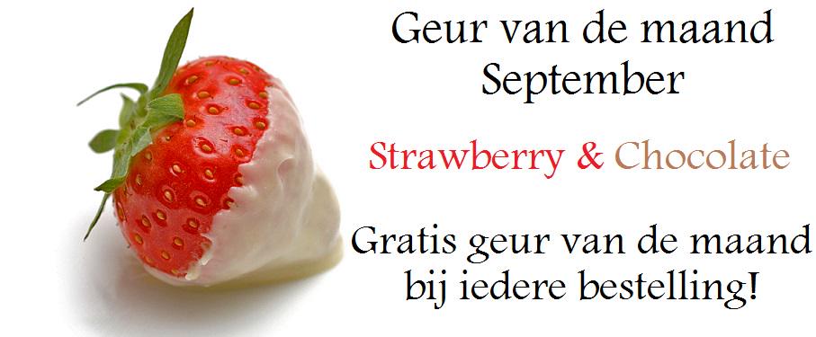 Kom in de herfst sfeer met de heerlijke geuren van waxscent.nl Gratis geur van de maand bij je bestelling