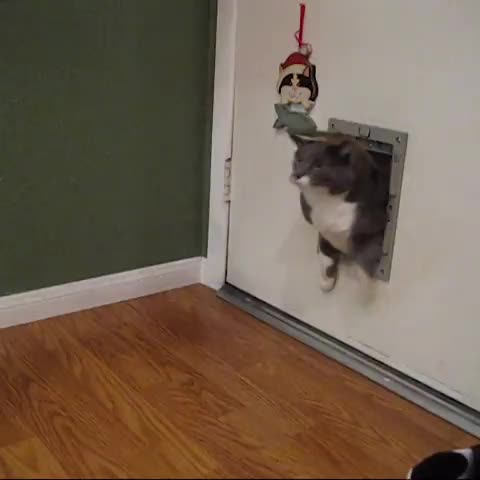 vistoenlasredes's tweet photo. [VINE] Cuando sales de un bufet libre... http://t.co/Yo5kWDdCBx http://t.co/hT5xn3nead
