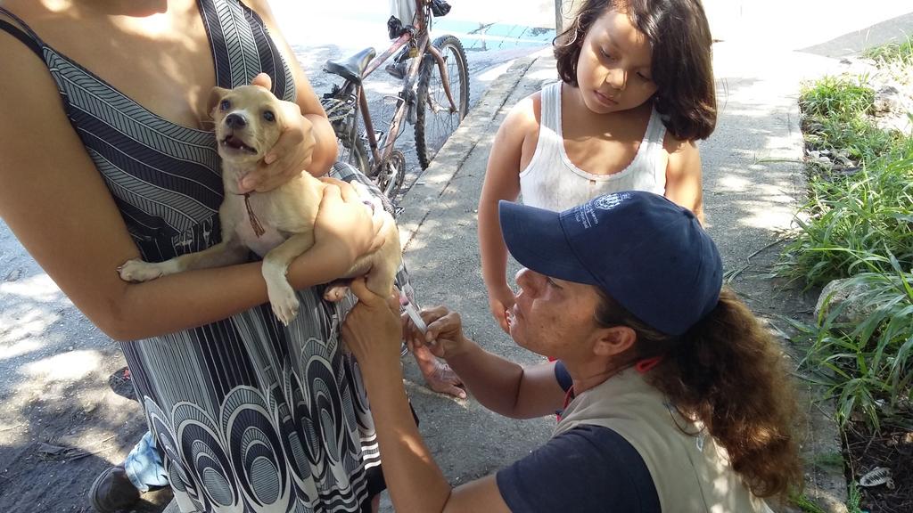 MeridaSaludable's tweet photo. #AyuntaInforma Vacuna a tu mascota, estamos hasta las 2 pm en varios parques #MeridaSaludable http://t.co/7ZBhvVgAxB