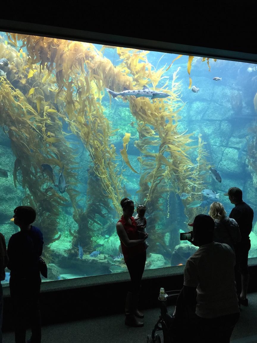 Ecoxotic tweet media