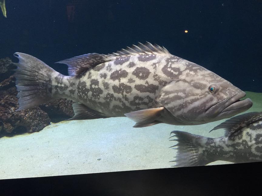 Ecoxotic tweet media