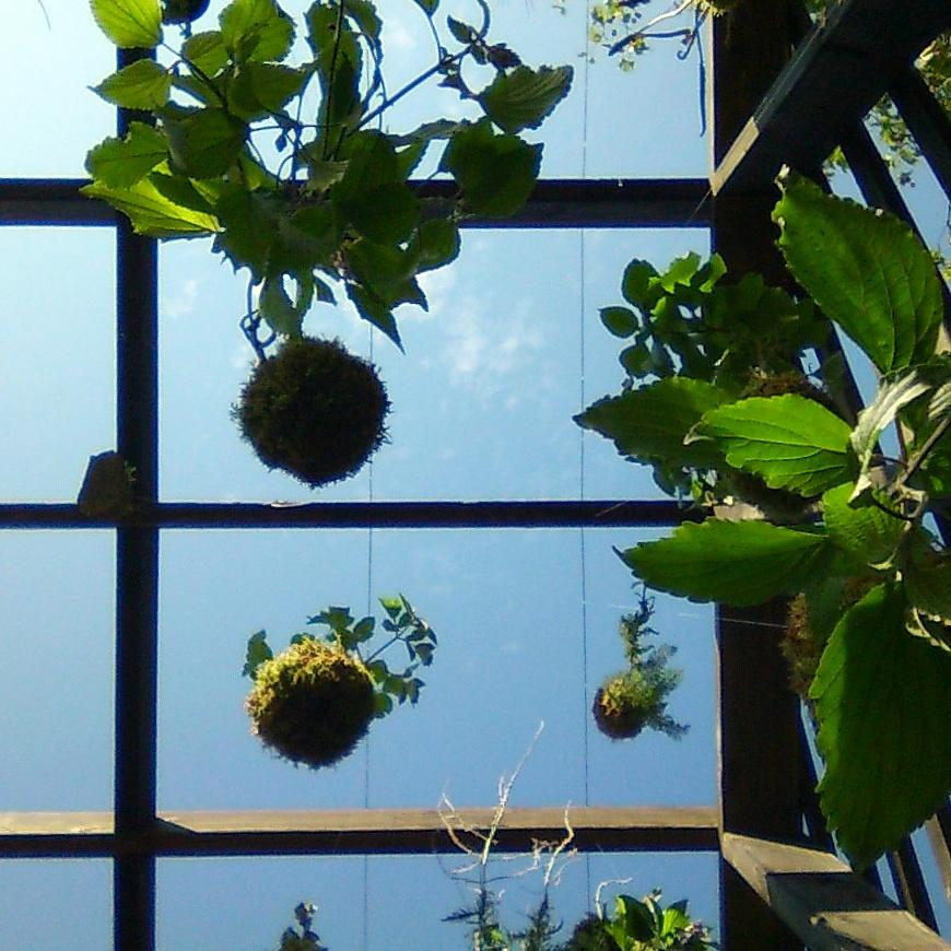 missgpace's tweet photo. Head to #QueensPark to check out the @PlantOutOfPlace exhibition on til Tues 22/09 as part of @q_p_D_D  #LDF15 http://t.co/lUFTuuhcKr