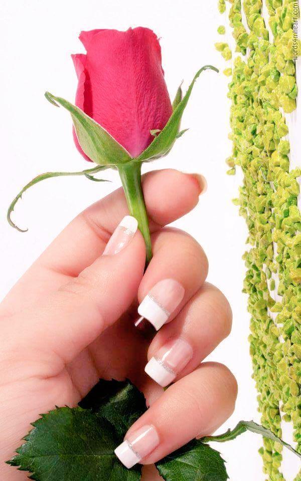 walid khlafa (@presswalid) on Twitter photo 