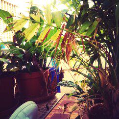 emmabopascual's tweet photo. Disfrutando del domingo :) http://t.co/H02OWtNUIY