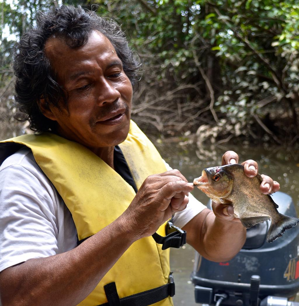 TravelMusing's tweet image. Jungle Life: Guyana lessblathermorebite.wordpress.com/2015/09/20/jun…