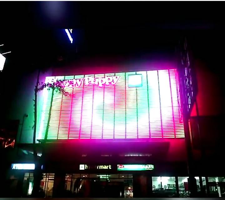 happy puppy pandanaran