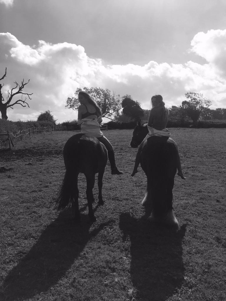 #willyouslowdownformenow 🐴🚫🚗