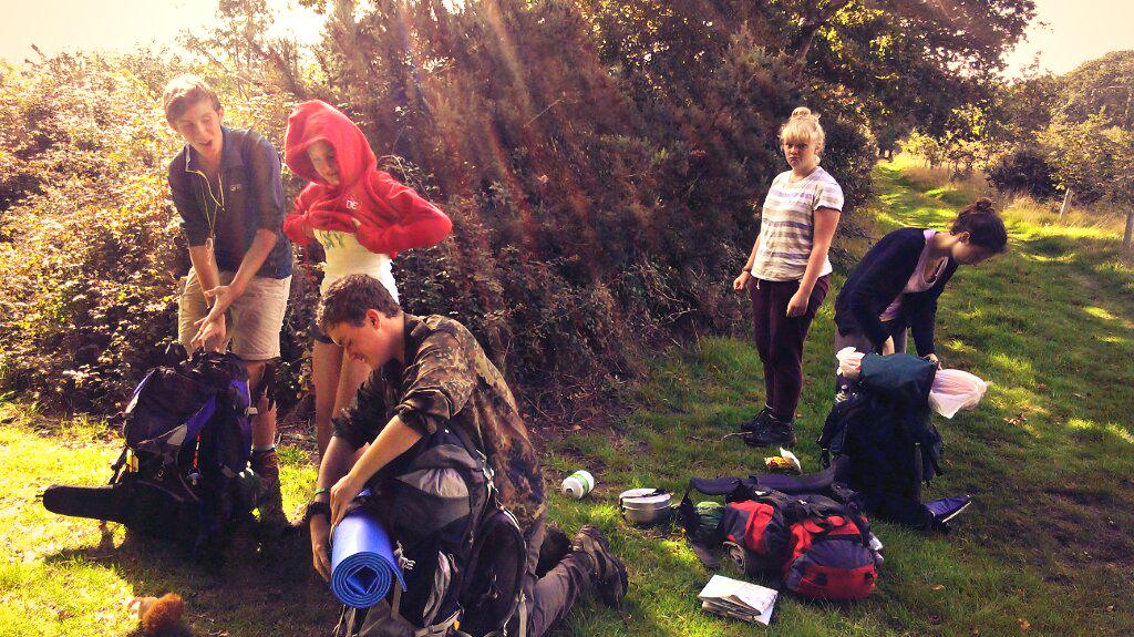 tstcdofe tweet picture