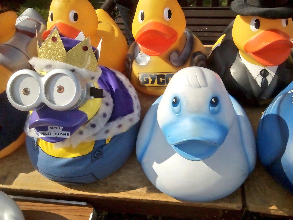 soGreatYarmouth's tweet photo. Mini rally, Duck racing, Bowls festival and #OutThereFest - and sunshine!

#GreatYarmouth Why go anywhere else? http://t.co/dc9tEa3Mgq