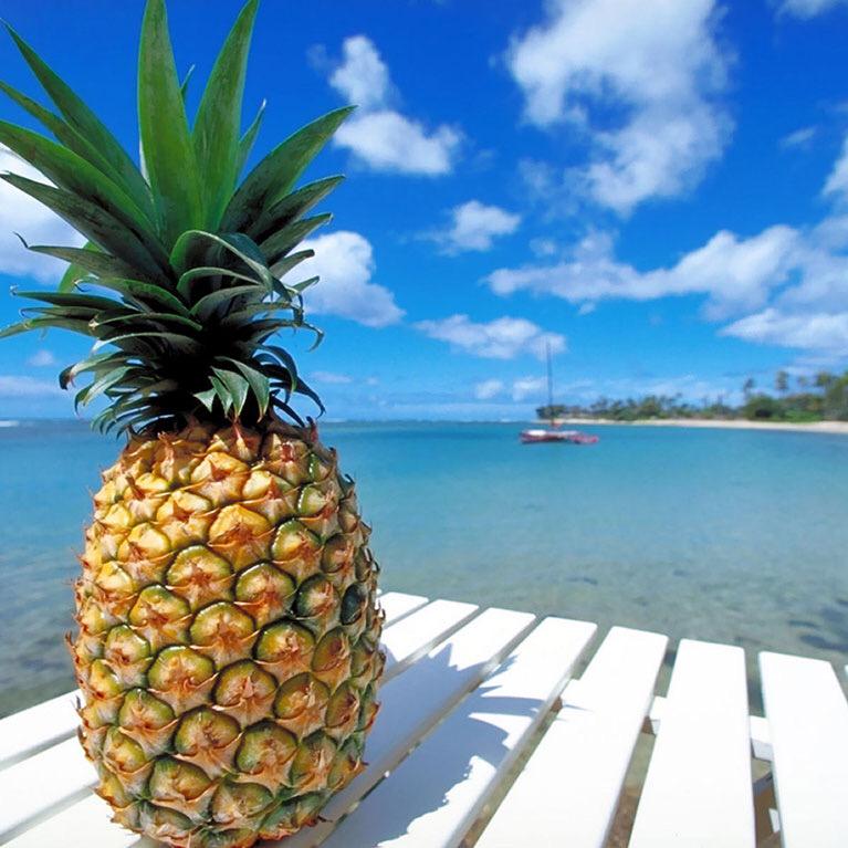 TheEvilButler's tweet image. 