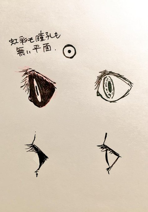 ジンの目の中に眼球は入っておらず、穴の暗闇に光る輪があってそれが瞳に見えるんですっていう説明… 