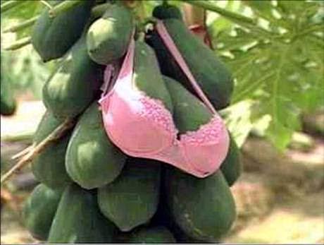 boby_ipank's tweet photo. @Oom_Ecks @bushuxx @DimasEka_ tebak buah http://t.co/hvsHt4nqLS