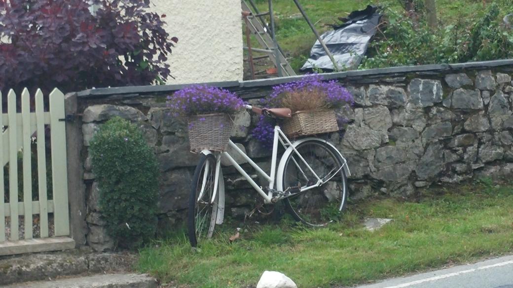 WHR_The_Bandits's tweet photo. Inventive way of using an old bike #whitehatrally http://t.co/soNpdn3XUw