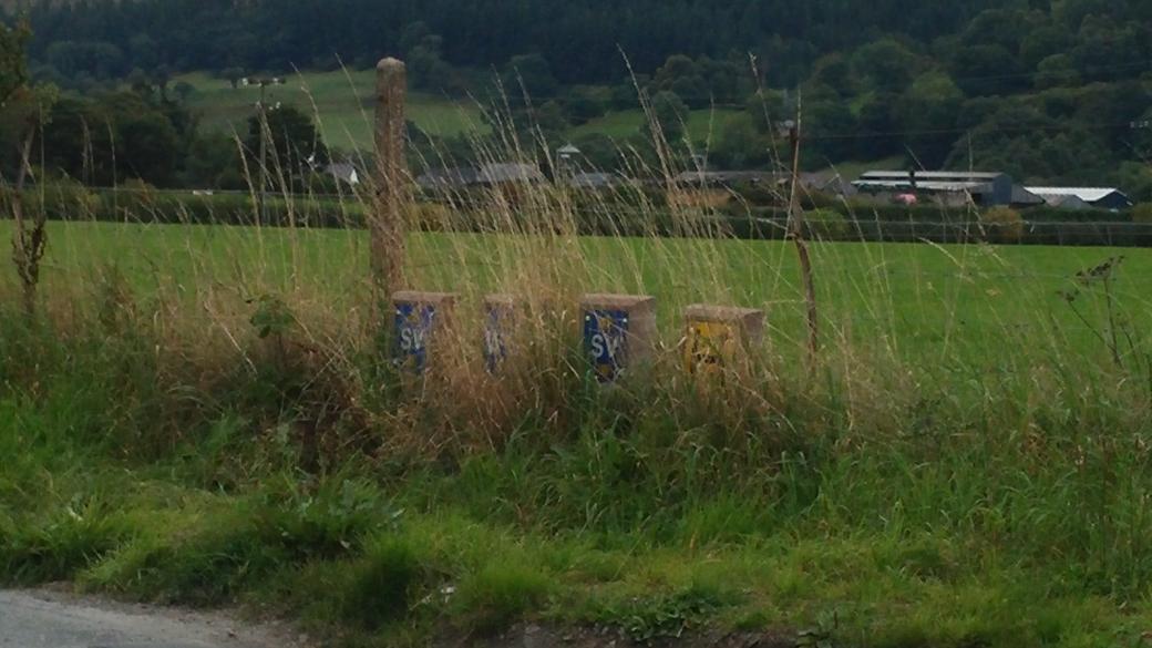 WHR_The_Bandits's tweet photo. Hidden hydrant markers #whitehatrally http://t.co/1erxbJD0o9