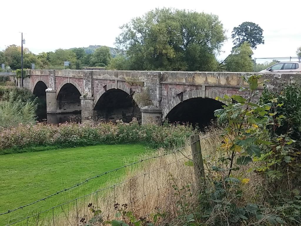 WHR_The_Bandits's tweet photo. Another bridge with far superior archery #sorryOthetBridge #inferiorArchSyndrome #whitehatrally http://t.co/PIUdntjIuA
