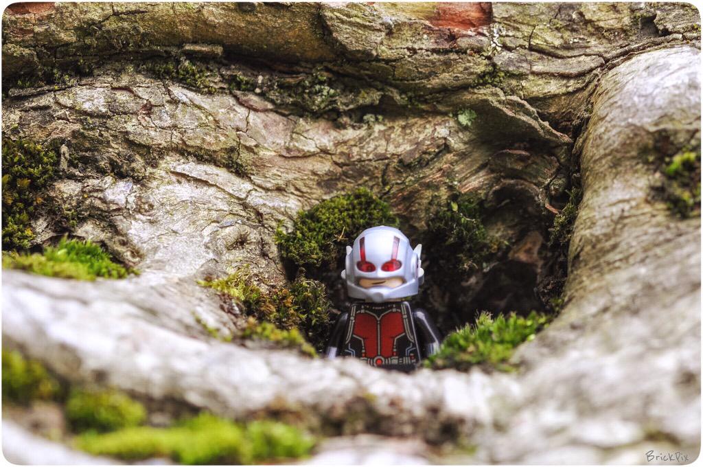 VitruvianBrix's tweet photo. Get your cape, tights &amp; your underpants on for @BrickPix #StevesSuperHeroSunday on IG http://t.co/0qlTYumZAd #Lego http://t.co/MumjLfDQwf