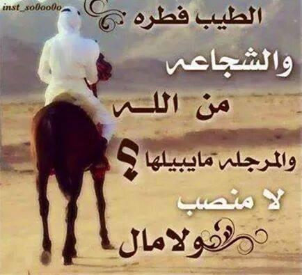 RayaniWalid tweet picture