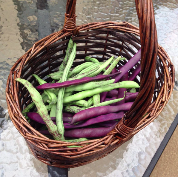 Denver_80238's tweet photo. We're getting into fall harvest now. What will you be picking up at the Farmer's Market today? #regram @dgweller http://t.co/8ixYdlnd7W