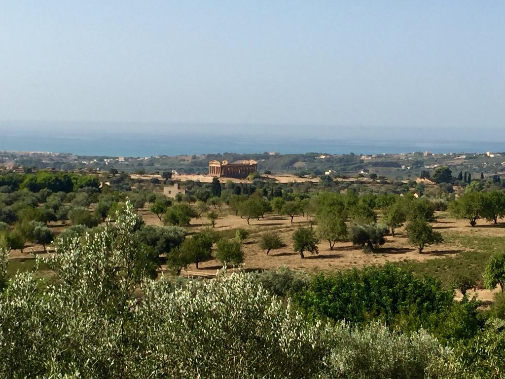 Slasherrrr's tweet photo. But I was there for the Valle dei Templi dating from the time of the Greek city of Akragas (5th c. BC) #templeofjuno http://t.co/jyZvKNQkcQ