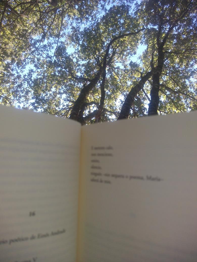 chioliterario's tweet photo. Pequenos #praceres da vida . #libro #carballeira #setembro http://t.co/Xn7QMmvWok