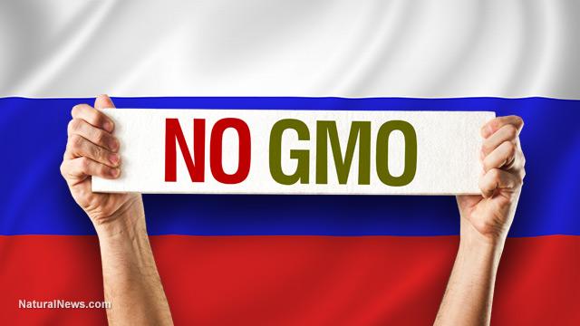 HealthRanger's tweet image. Wow! #Russia just banned all #GMO crops to protect citizens from #biotech poisons! bit.ly/1iYZBvw