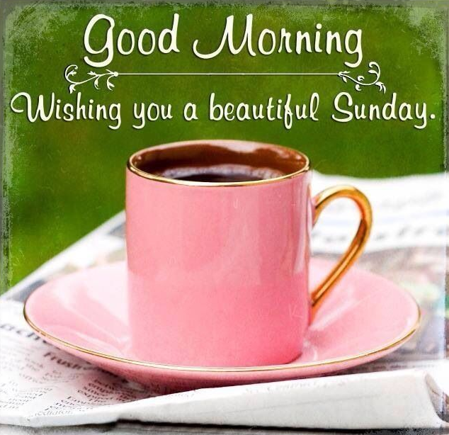 PHarrington_OK's tweet photo. May it be a great Sunday for you all! http://t.co/Uxr46I6AcJ